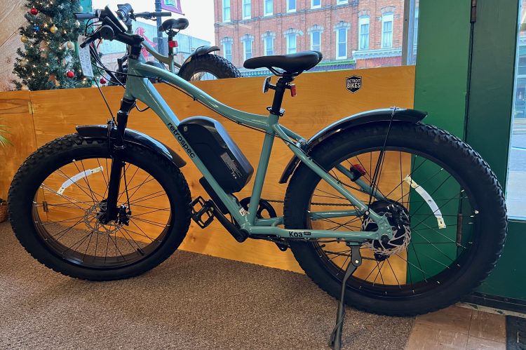E-Bike vs Traditional Bike