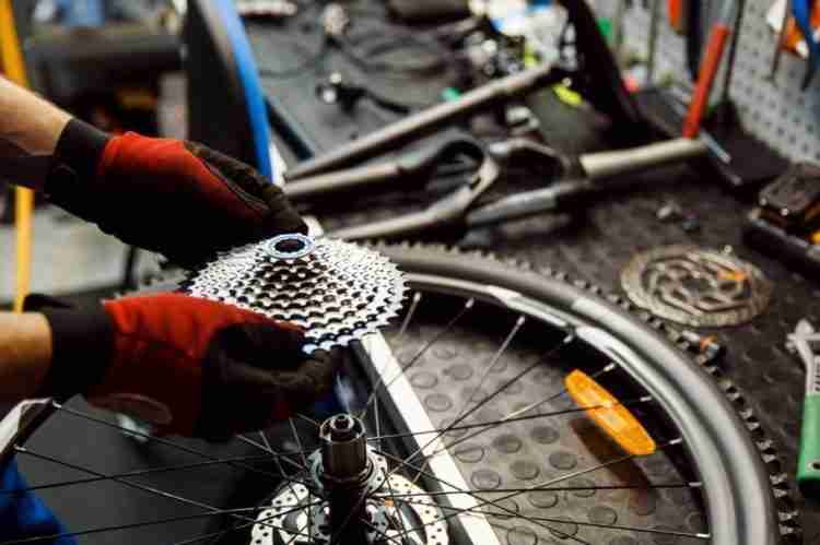 Bike Tune Up